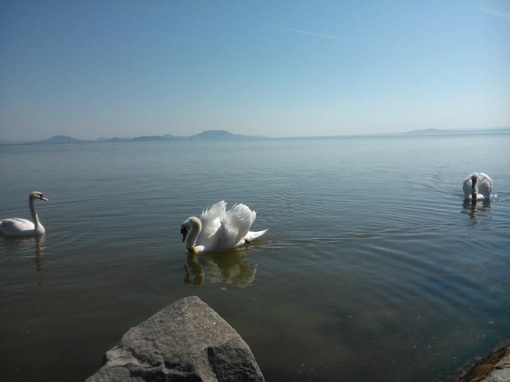 Angela Haz Leilighet Balatonberény Rom bilde